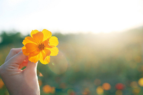 做你自己,不要刻意去取悦别人 做你自己,不要刻意去取悦别人